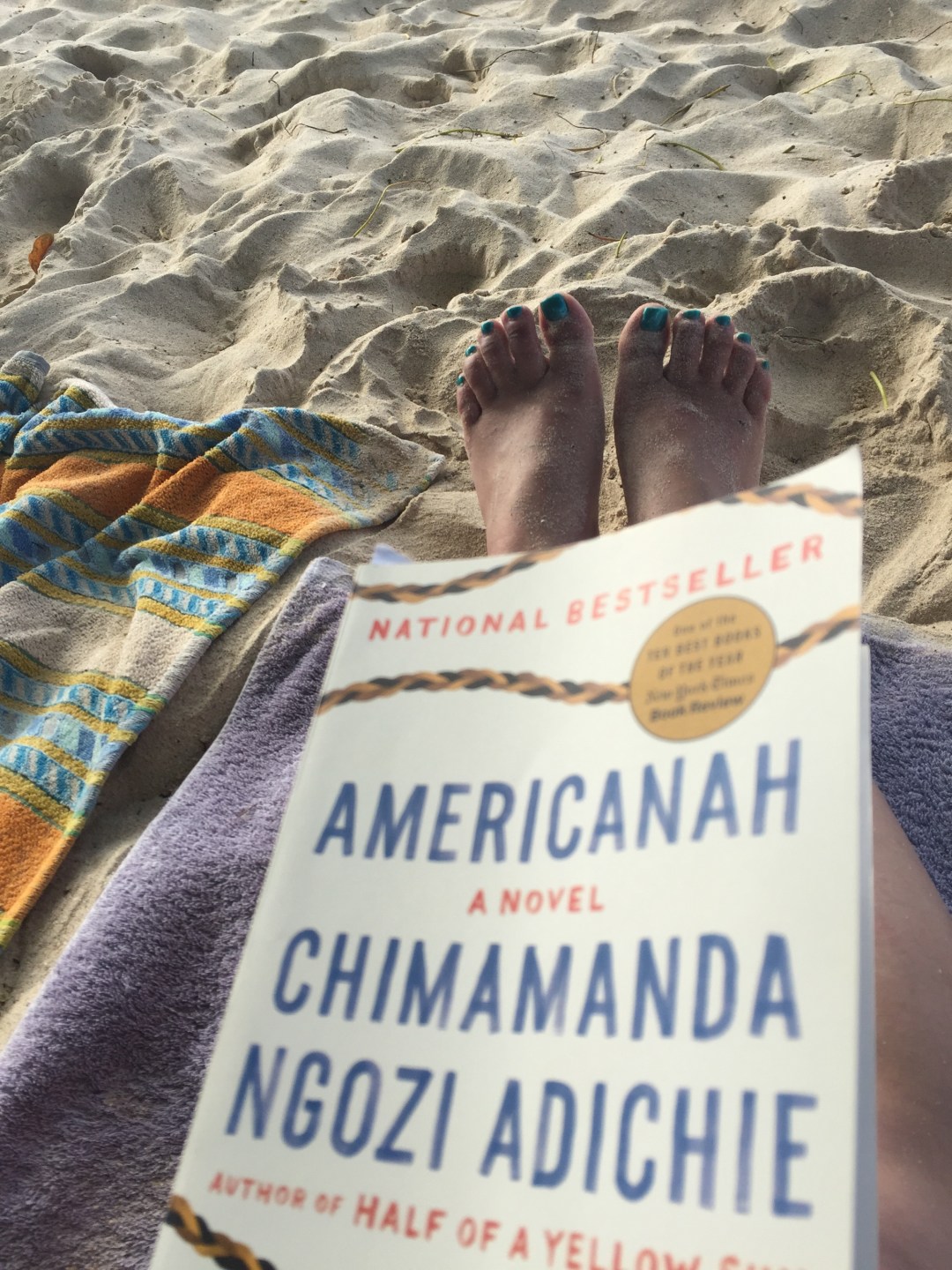 Americanah by Chimamanda Ngozi Adichie